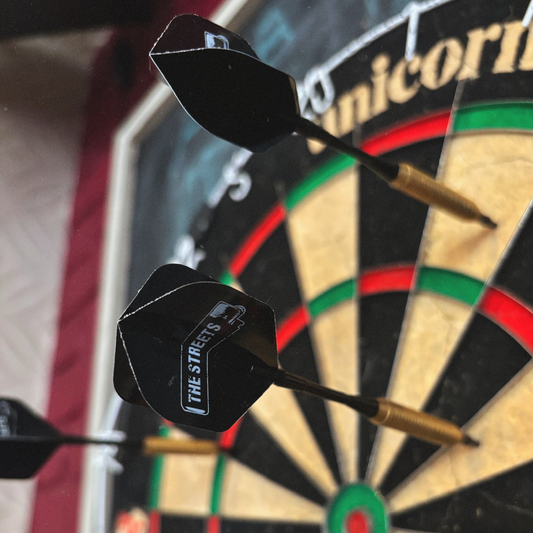Custom Darts Set