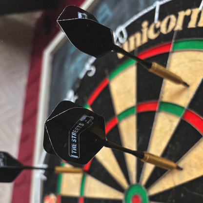 Custom Darts Set